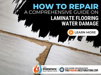 The Phoenix Restoration. Water Damage, mold Remediation | 601 Grove St, Lake Worth, FL 33461 | 954-866-8408