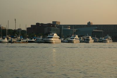 DSC_0147.jpg