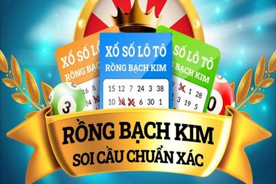 chat-rong-bach-kim-ban-luan-soi-cau-hieu-qua-chinh-xac.jpg