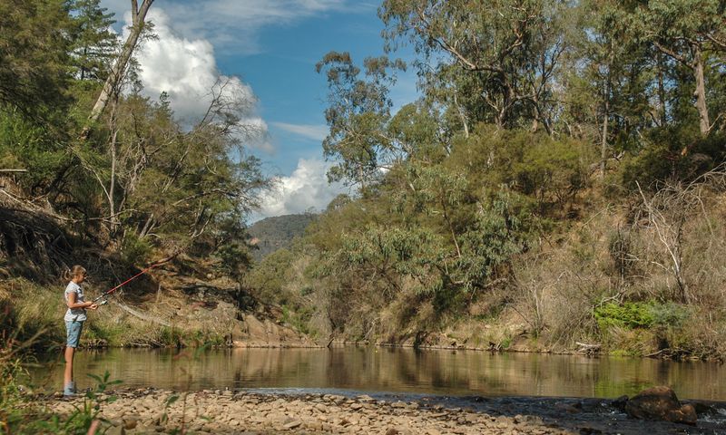 DSC_0246.jpg