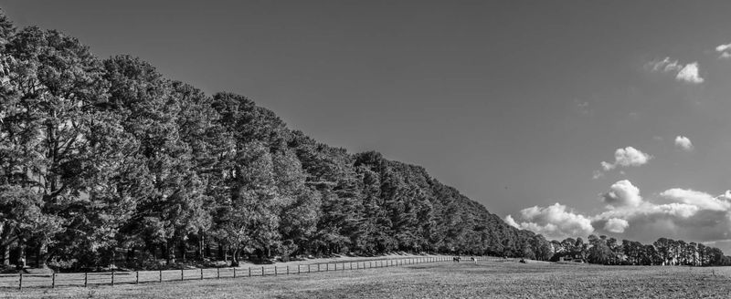 DSC_6296-Pano.JPG