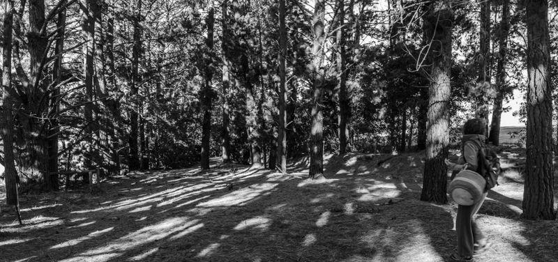 DSC_6323-Pano.JPG