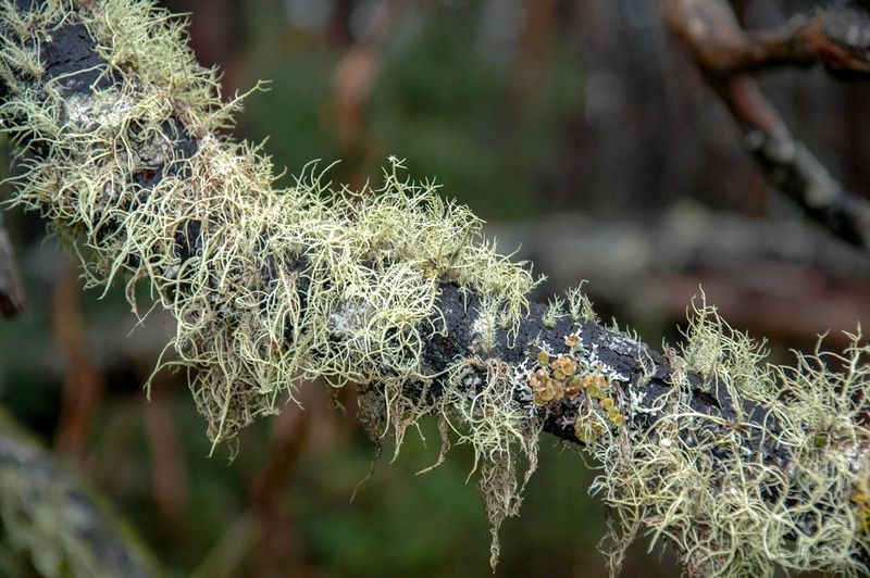 DSC_0597.JPG