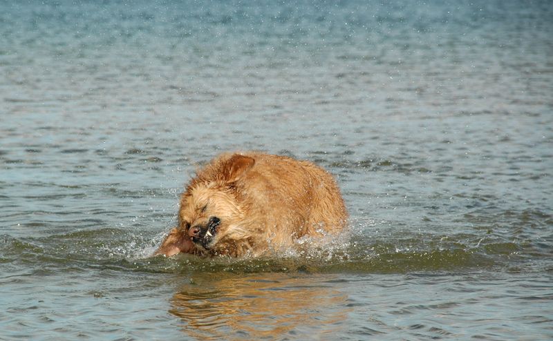 DSC_0777.JPG
