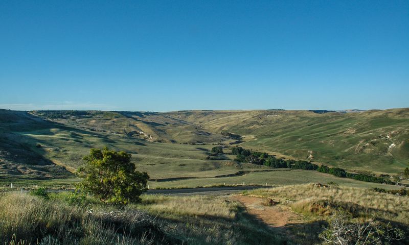 DSC_3873.JPG