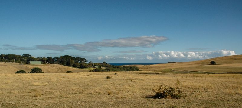 DSC_5906.jpg