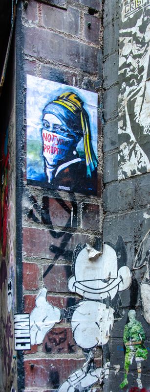 DSC_6482.jpg