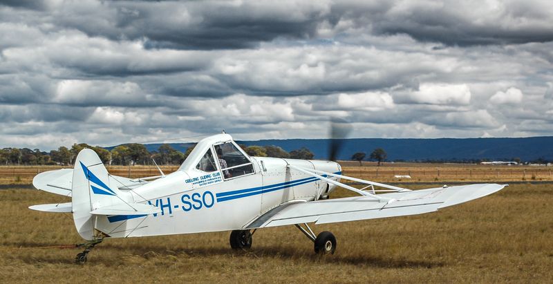 DSC_6546.jpg