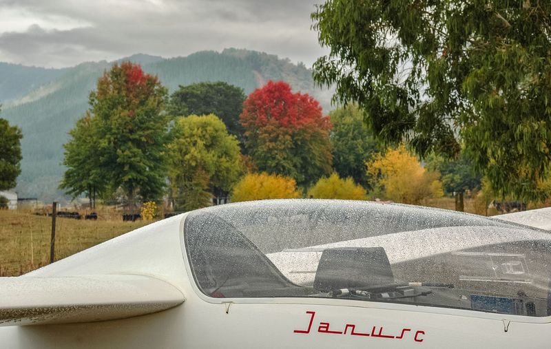 DSC_6772.jpg