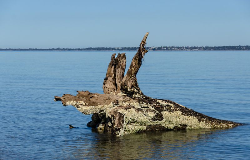 DSC_6757.jpg