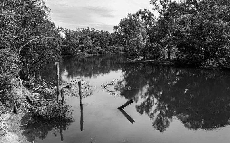 DSC_6838.JPG