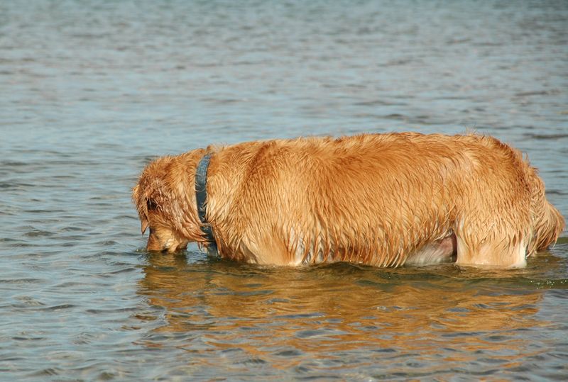 DSC_0780.jpg