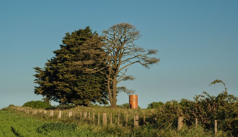 DSC_2769.jpg