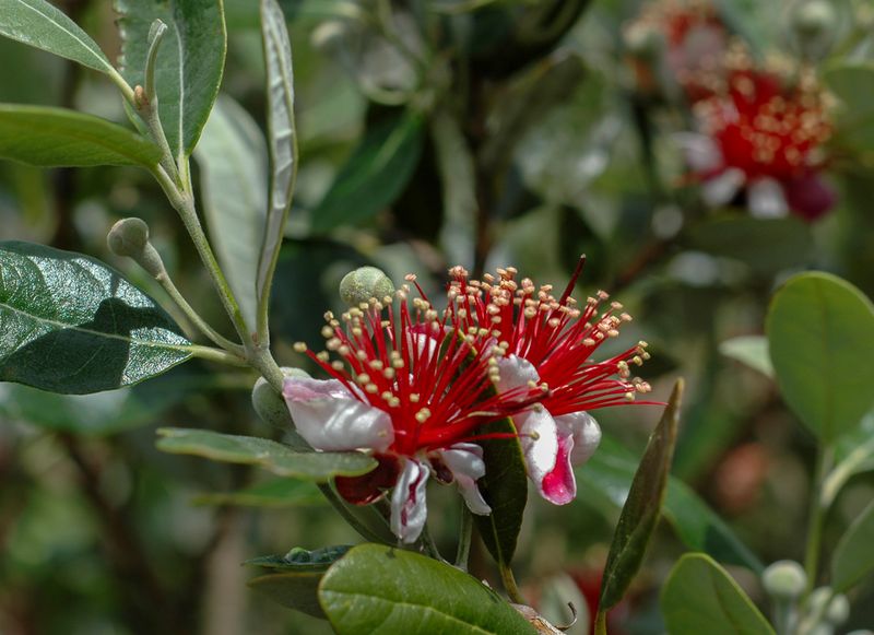 DSC_2826.jpg