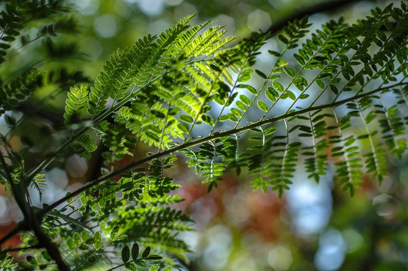 DSC_3751.jpg