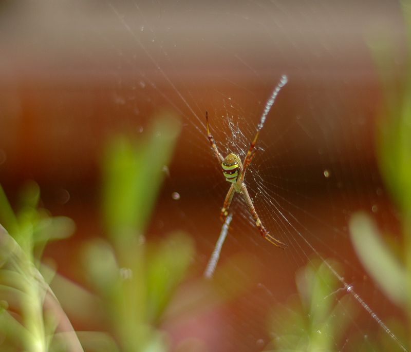DSC_4304.jpg