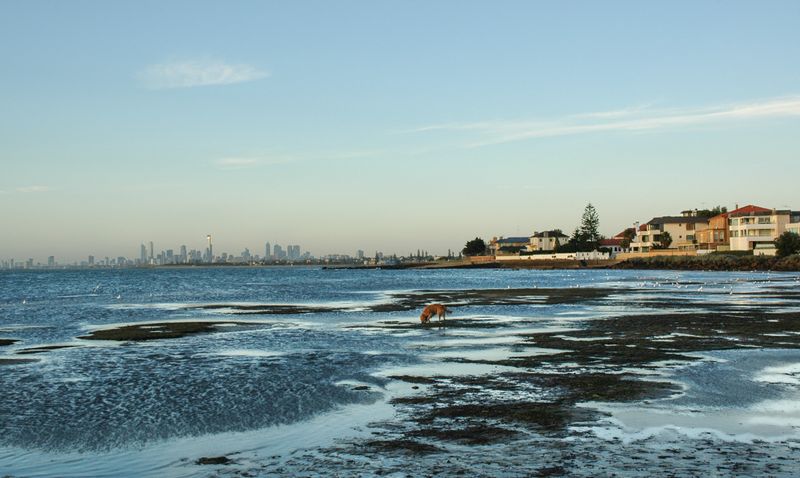 DSC_5694.jpg