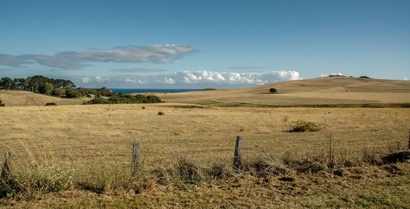 DSC_5910.jpg