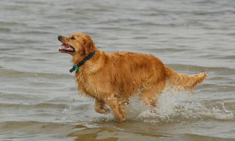 DSC_6508.jpg