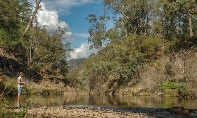 DSC_0246.jpg
