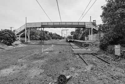 _DSC1778.JPG
