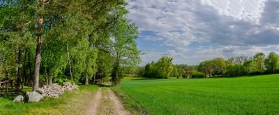 _DSC3105-Pano.jpg