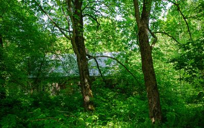 _DSC3294.jpg