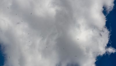 _DSC4388.jpg