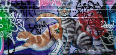 Melbourne Street Art: 2005 - 2024
