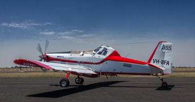 _DSC5730.JPG
