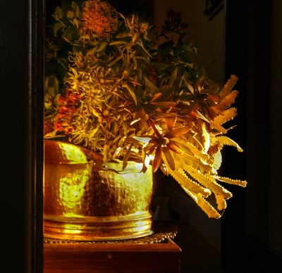 Flowers & Plants