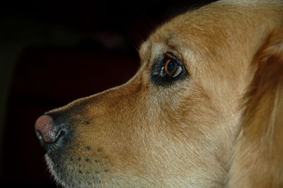 DSC_0029.JPG