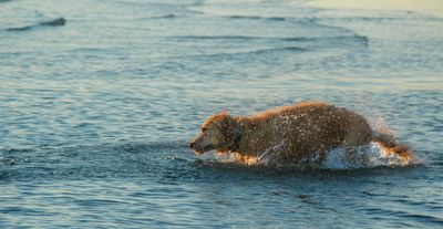 DSC_3109.JPG