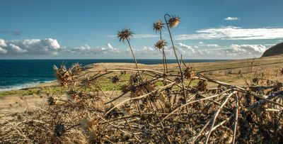 DSC_5959.jpg