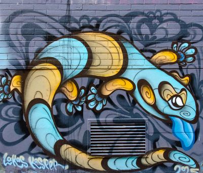 DSC_6439.jpg