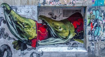 DSC_6464.jpg