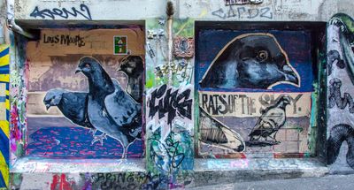DSC_6465.jpg