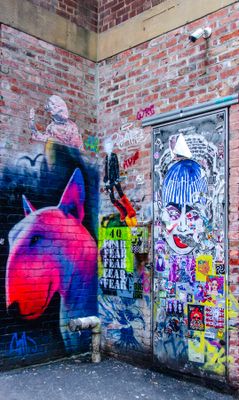 DSC_6470.jpg