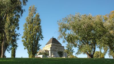 DSC_6682.jpg