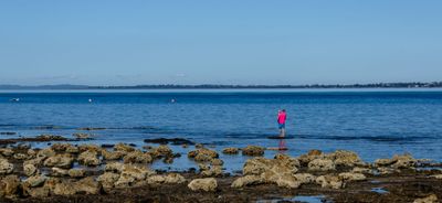 DSC_6731.jpg