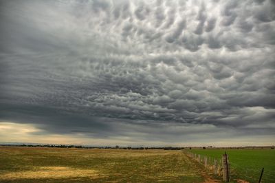 DSC_0487.jpg