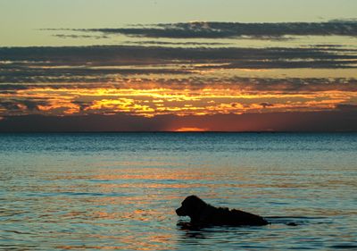 DSC_3131.jpg