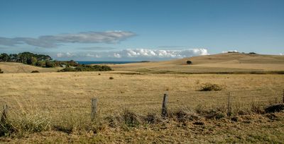 DSC_5910.jpg