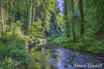 Lydford Gorge