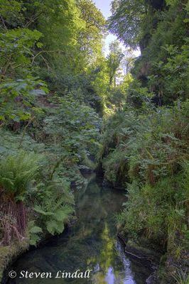 Lydford Gorge