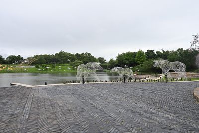 20250603c.jpg