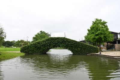 20250603i.jpg