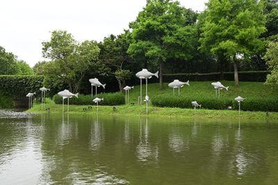 20250603l.jpg