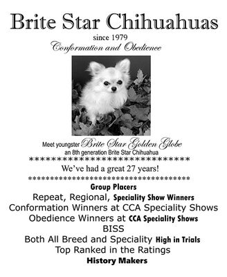 A Page from the Chihuahua Club of America Handbook