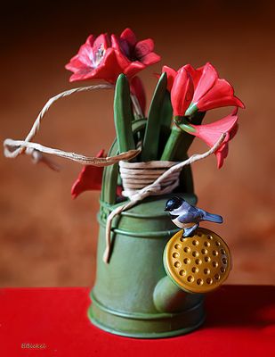 Amaryllis in a Watering Can 2014